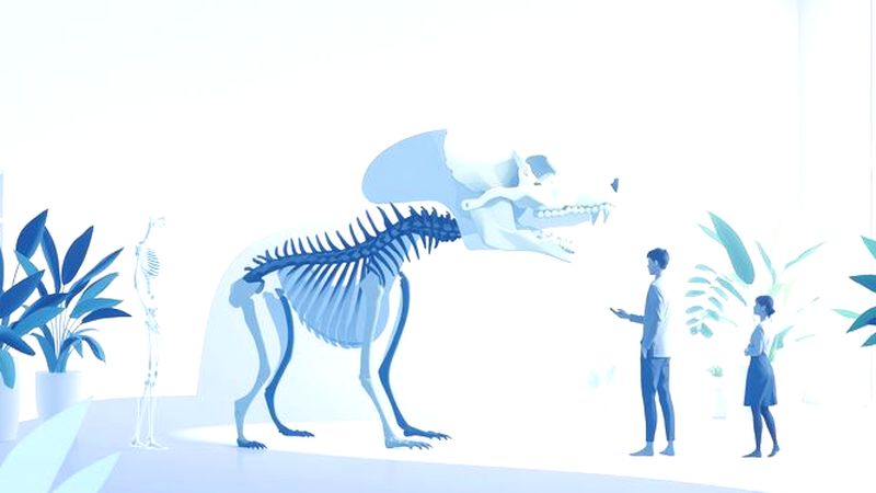 Anatomía comparada